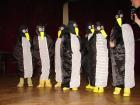 01. Pingvini - Prvo Mjesto - Grupna Maska