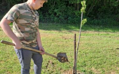 Obilježavanje akcije “Posadi drvo, ne budi panj”